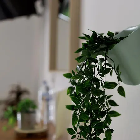 Δωμάτια σε οικογενειακή κατοικία Quinta Da Falfeira Λάγος