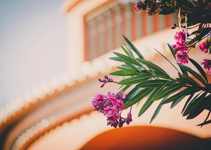 Quinta Da Falfeira Pansiyon Lagos