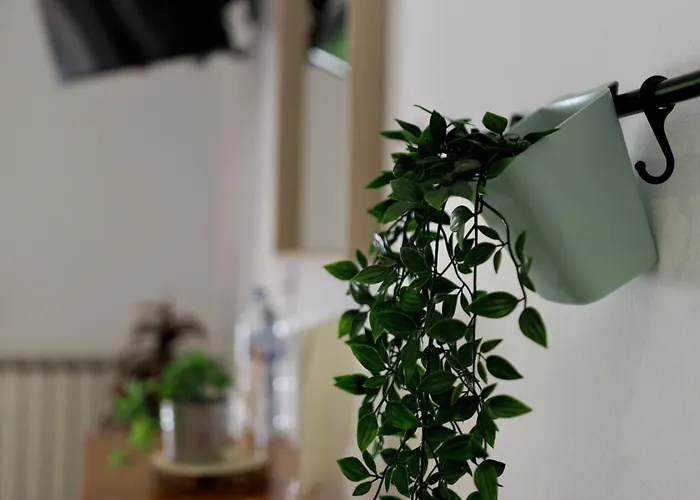 民宿 Quinta Da Falfeira 拉哥斯